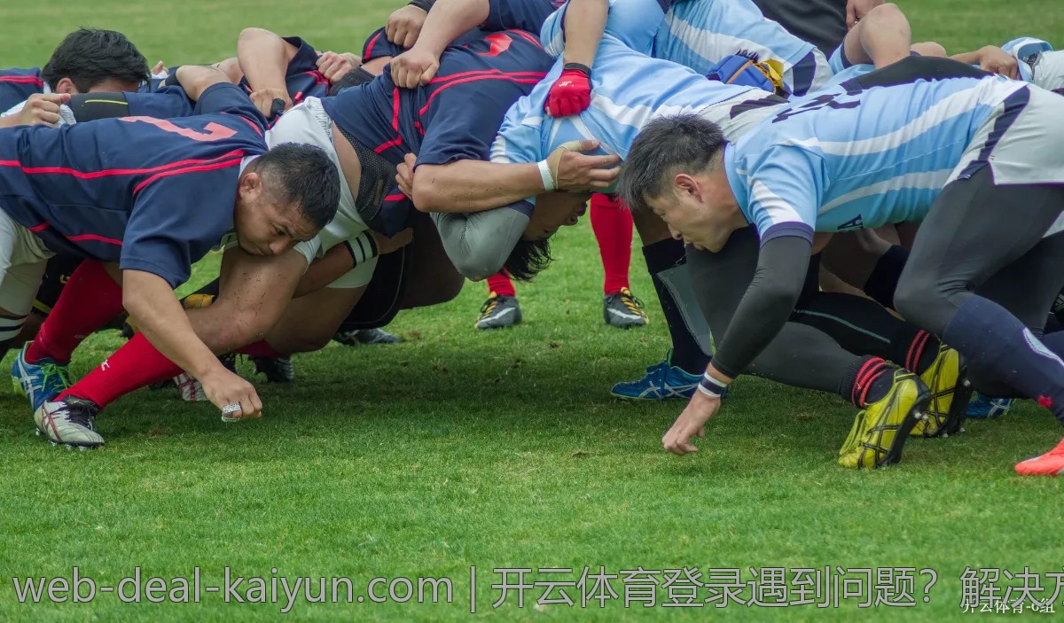 开云体育登录遇到问题?解决方案汇总