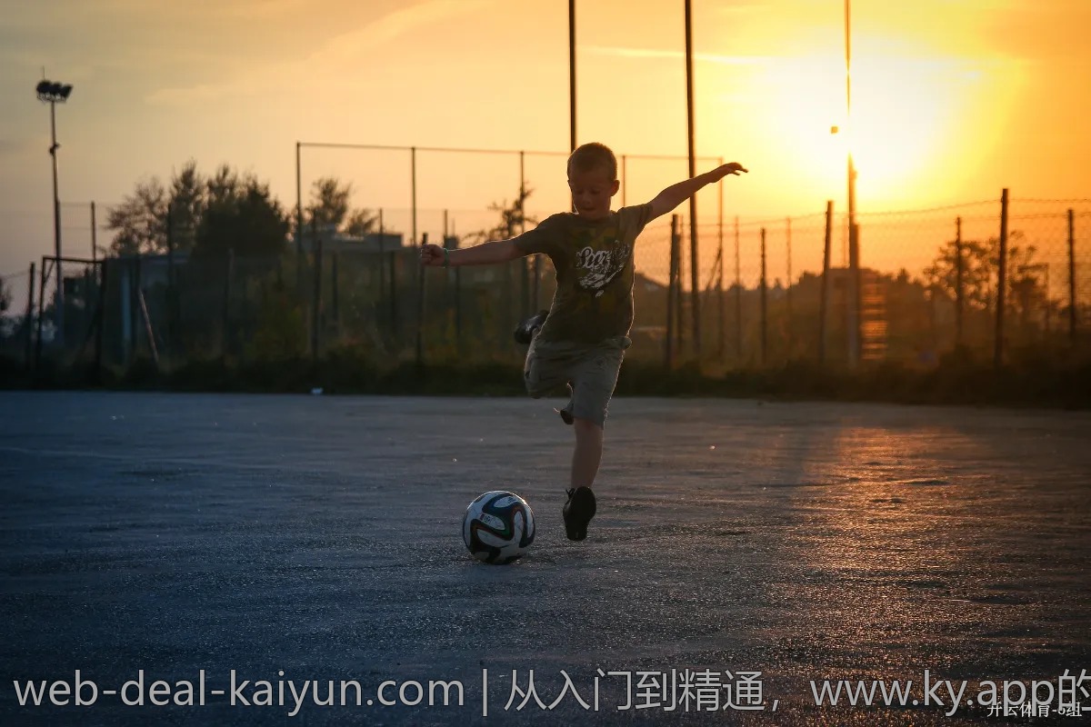 从入门到精通，www.ky.app的全面指南