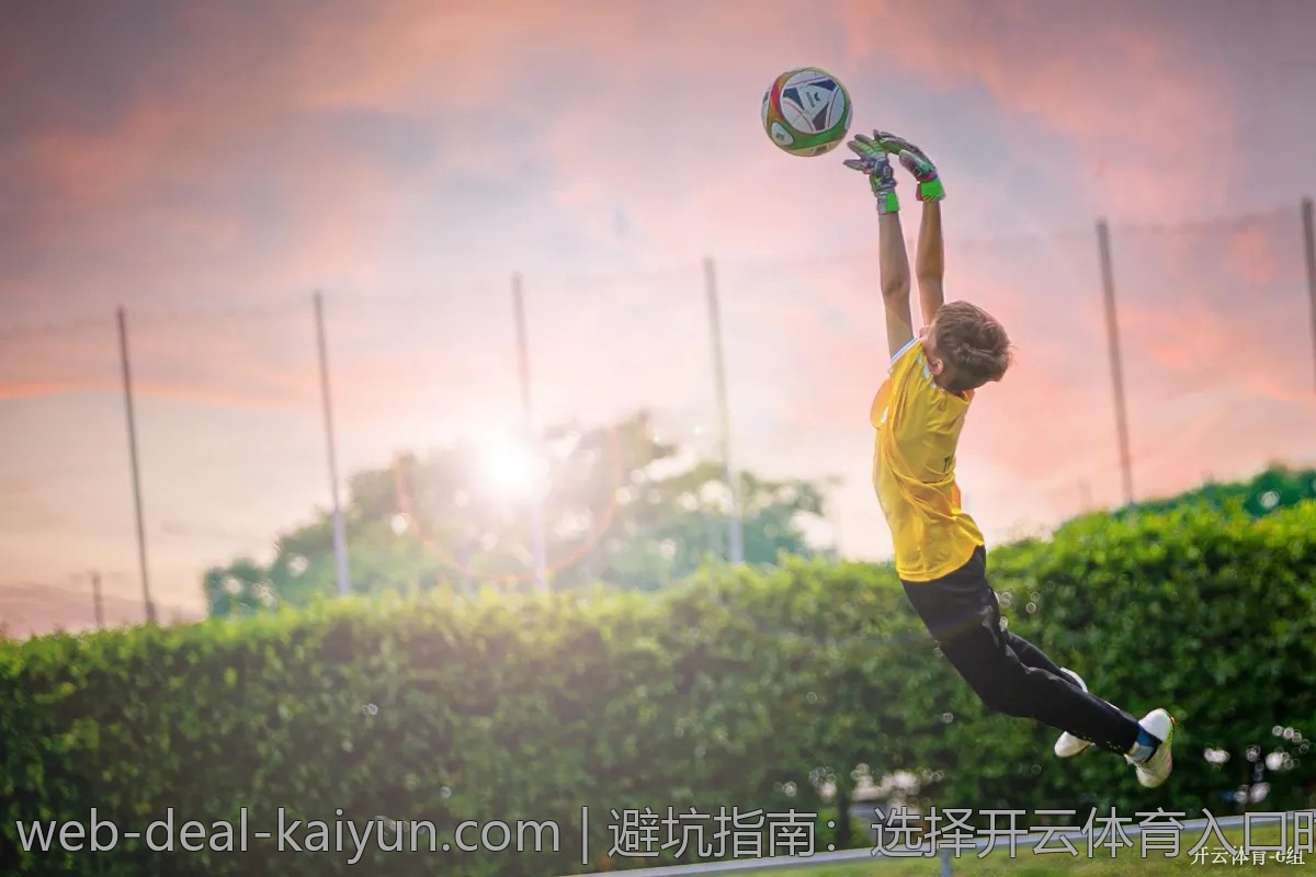 避坑指南:选择开云体育入口时需要注意的事项