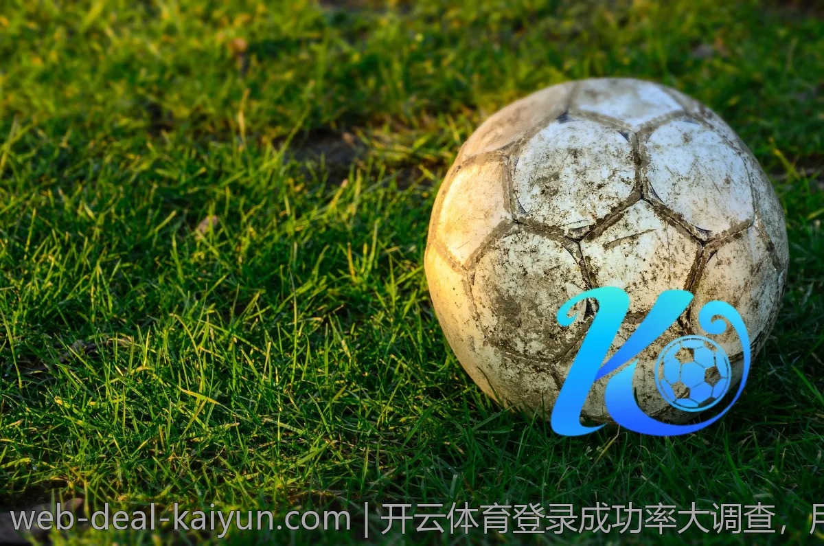 开云体育登录成功率大调查,用户吐槽与点赞