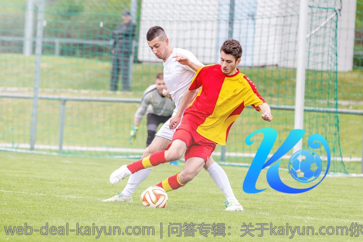 问答专辑:关于kaiyun.com你可能想知道的事